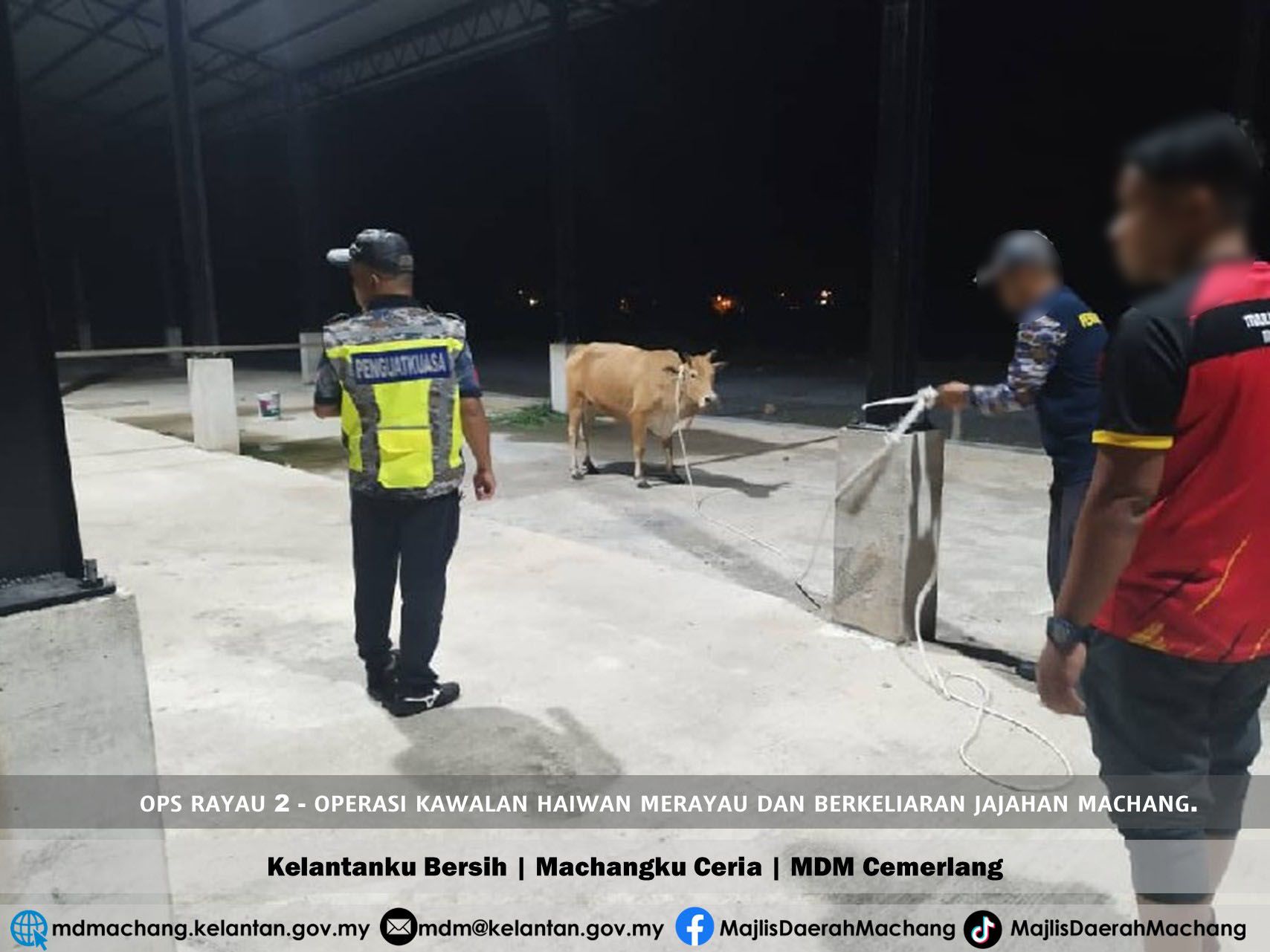 OPP4 F1e150a6